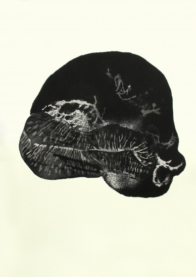 Naturelat VIII | akwatinta, akwatinta zatapiana w werniks | 66x96cm